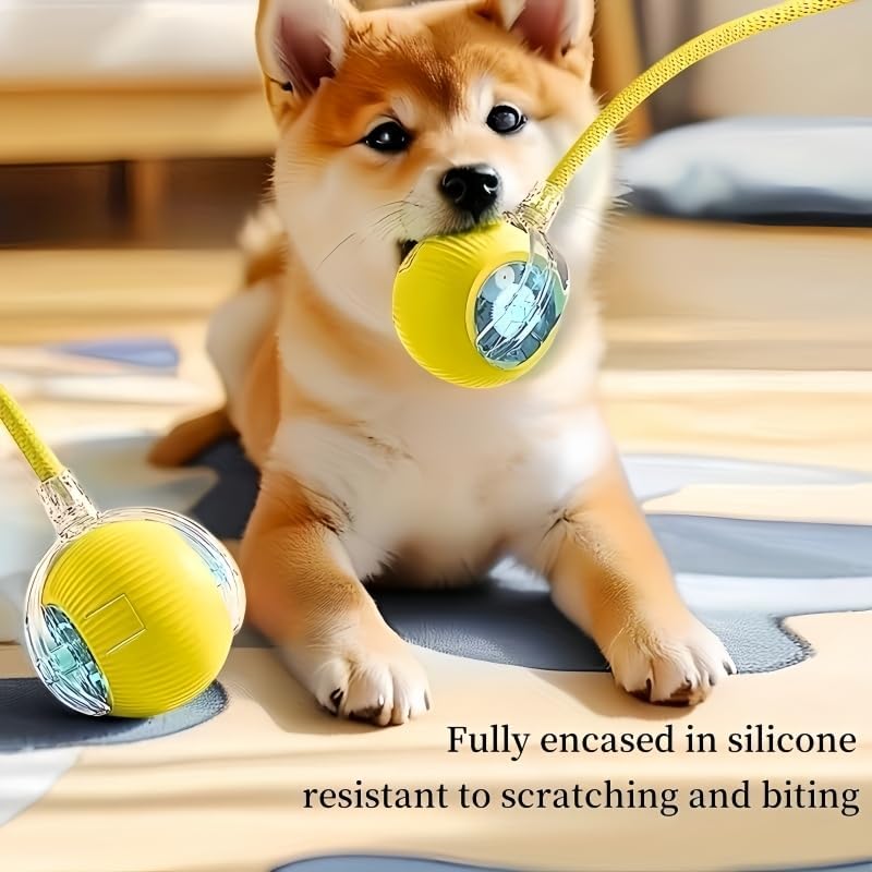 Nicoybore pet toy ball, USB charging, automatic standby, made of durable materials, providing interactive entertainment for cats and dogs. Luminous sphere attracts pets to chase after (1, yellow)
