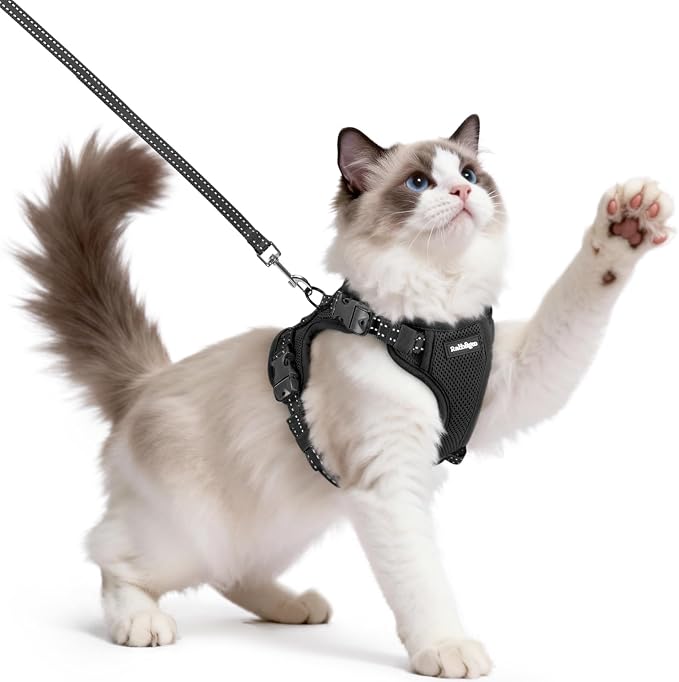 rabbitgoo Cat Harness and Leash, Easy-on with Neck Buckle, Black