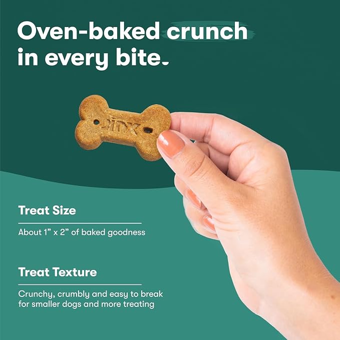Jinx Dog Biscuits, Oven-Baked Dog Treats with Beef Bone Broth, 16oz | 2-Pack Crunchy & Healthy Dog Treat, Superfood-Rich with Real Grass Fed Beef, Dog Cookies for Puppies, Adults & Senior Dogs