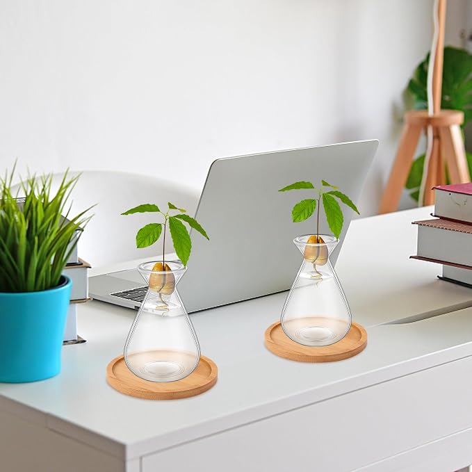 6Pcs Small Avocado Seed Starter Vase with Bamboo Base Avocado Tree Growing Vase Kit Avocado Seed Sprout Starter Vase Planter Pot Easy Seed Gift Plant Glass for Acorn Garlic Vines Root Seeds