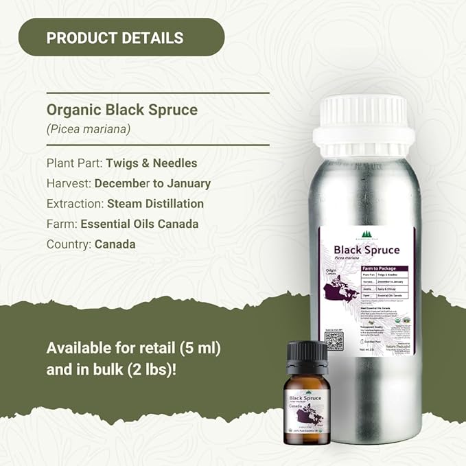 Organic Black Spruce Essential Oil from Canada - Black Spruce Essential Oils for Candle Scent (2lbs)