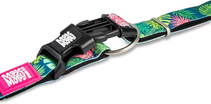 Max & Molly Smart ID Dog Collar with Gotcha! QR Safety Tag and Custom Pet Profile, Soft Padded Neoprene, Waterproof, Tropical, Large (15-25")