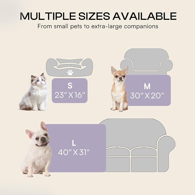 Luciphia Dog Blanket 3 Pack, Soft Cozy Fleece Throw for Puppy Cat,30"x20" | Fuzzy Flannel Small Pet Blanket Washable, Cute Paw Print for Crate Car Bed. Puppy Essential,Cat Stuff Gifts,Medium