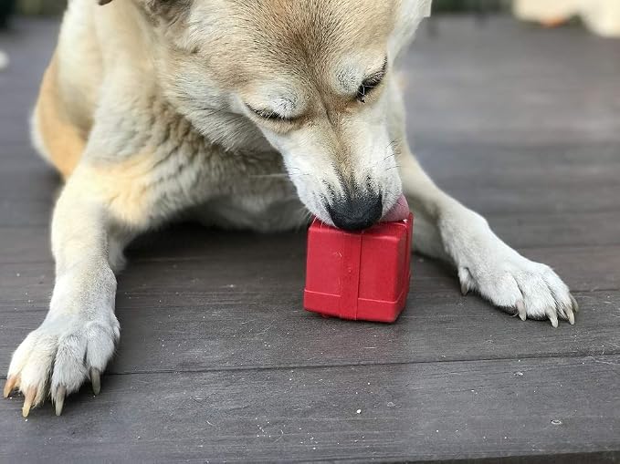 SodaPup Gift Box – Durable Dog Treat Dispenser & Chew Toy Made in USA from Non-Toxic, Pet Safe, Food Safe Natural Rubber Material for Mental Stimulation, Problem Chewing, Calming Nerves, & More