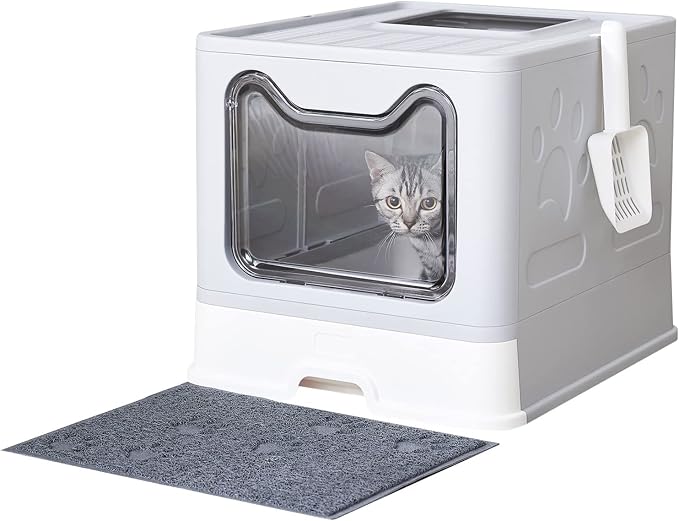 Medario Cat Litter Box with Litter Mat and Scoop (Grey) | Large Covered Litter Box with Lid, Enclosed Kitty Box, Front Entry Top Exit, Odor Control, Easy to Clean