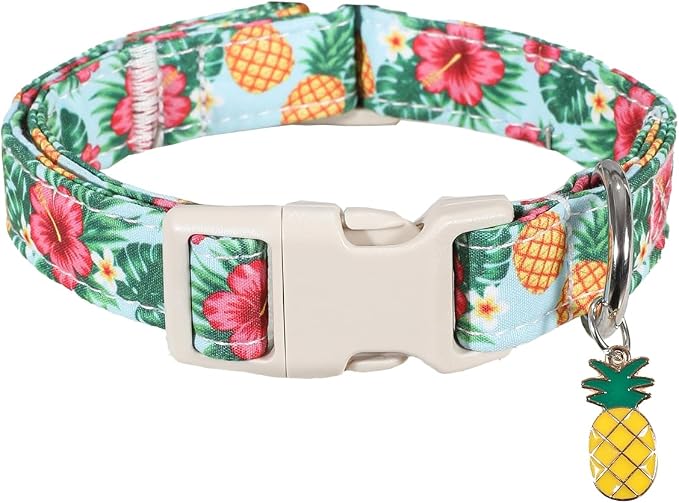 Summer Dog Collar with Tropical Pattern, Cute Dog Collar for Girl Boy Dogs, Pet Collar with Unique Print and Soft Fabric, Suitable for Small Dogs