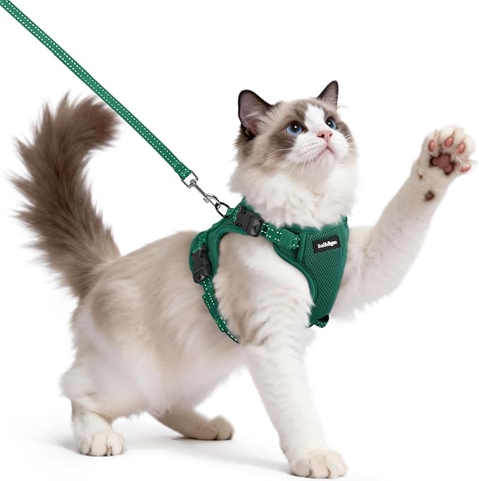 rabbitgoo Cat Harness and Leash, Easy-on with Neck Buckle, Dark Green