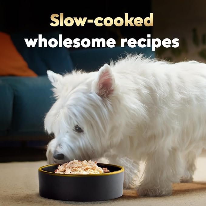Cesar Wholesome Bowls Wet Dog Food, Chicken Recipe, 3 oz, 10 Count | Real chicken #1 ingredient, slow-cooked, 7 key ingredients, no by-products or artificial flavors, easy to digest