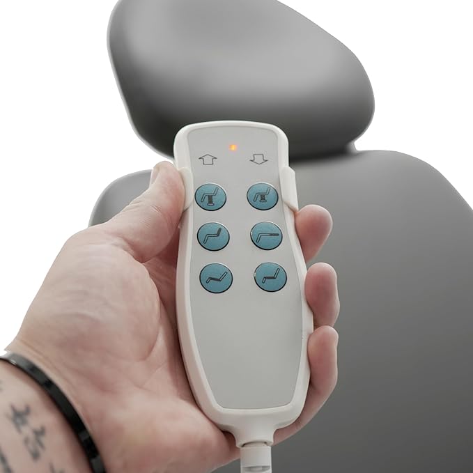 SKINACT Madison Electric Spa Facial Treatment Chair/Table (Gray)