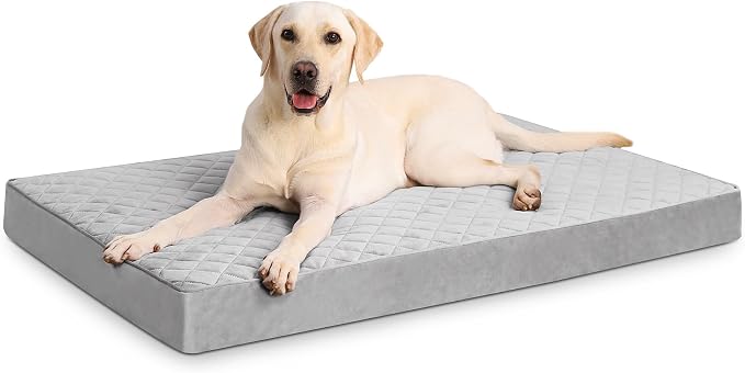 NUPIDA Orthopedic XL Dog Beds Large Sized with Washable Cover, 41x27, Grey | Egg-Crate Foam, Cozy Velvet Pet Mattress, TPU Waterproof Layer, Comfy Support, Anti-Slip Base, Big Large Breeds up to 80lbs