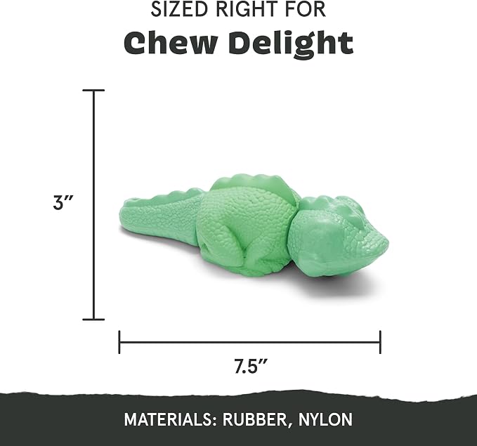 BarkBox Ilana the Iguana Super Chewer - Toy for Medium to Large Dogs | Durable Dog Toy for Aggressive Chewers - Dental Stimulating Chew