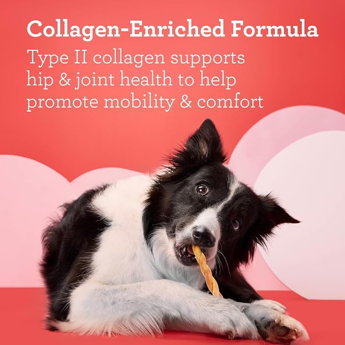 DreamBone CollaYUMS Twists Plus Collagen Rawhide-Free Dog Treats, 10 Count | Supports Hip and Joint Health, Daily Chew, Digests Safely and Completely, With Real Chicken & Peanut Butter, For Adult Dogs