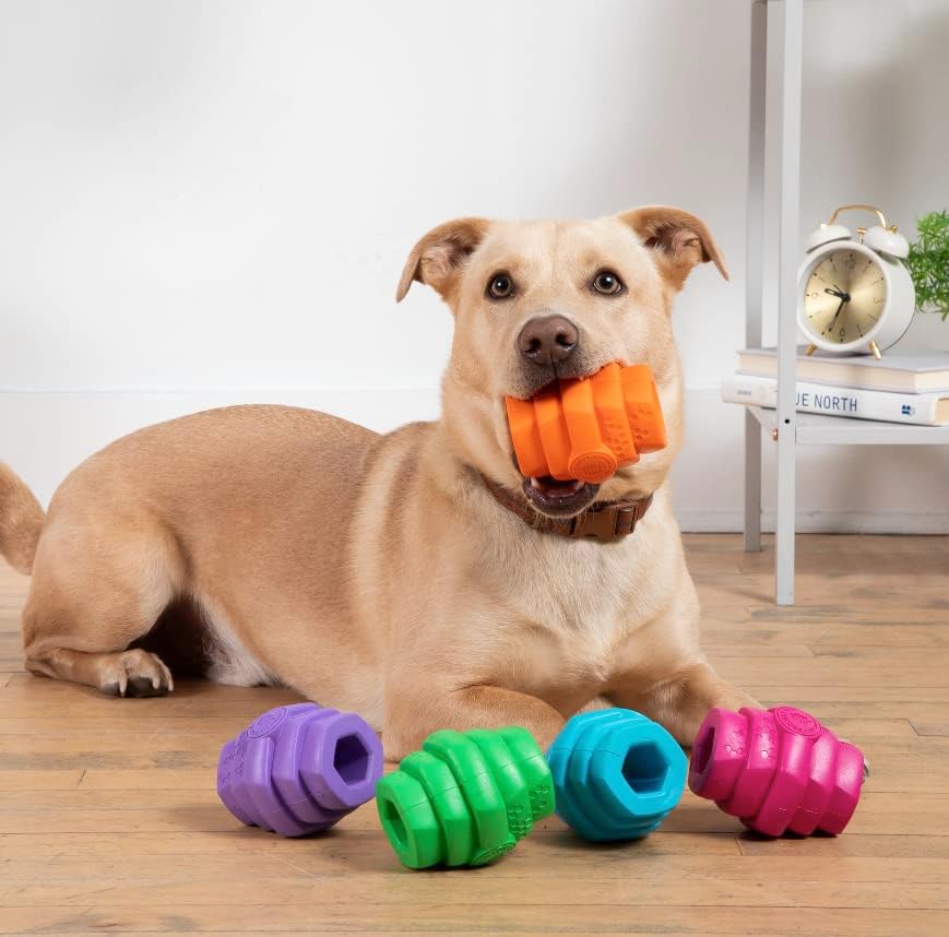 Hive Chew Toy for M/L Dogs – Orange/Sweet Mango Scent – Chew, Fetch, & Treat-Dispensing Enrichment Toy, Floats, Made in USA, Pairs with Hive Chew Sticks for M/L Dogs