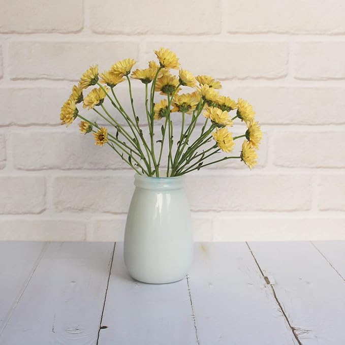 YANLING 6 Pack White Vase for Decor Small Ceramic Vase for Flowers | Bud Vases for Home Decor White Flower Vase, Boho Vases Dried Flowers Vases