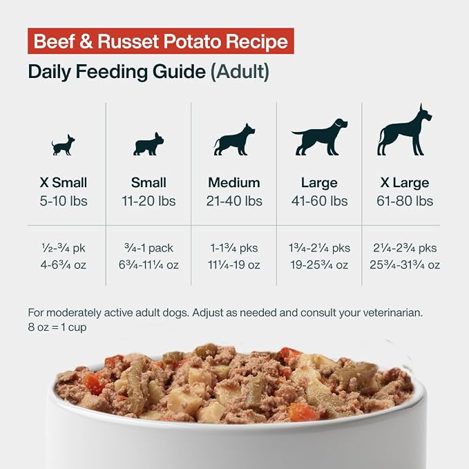JustFoodForDogs Pantry Fresh Wet Dog Food, Complete Meal or Dog Food Topper, Beef & Russet Potato Human Grade Dog Food Recipe - 12.5 oz (Pack of 6) | Fresh Pet Meal or Fresh Dog Food Topper, Human Grade Recipe Made With Whole Foods, Preservative-Free, ...
