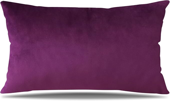 Artscope Luxury Velvet Pillow Covers Super Soft Decorative Rectangle Throw Pillow Covers Case Cushion Covers for Sofa Couch Bedroom Car Decor 16x24 Inch Eggplant Purple