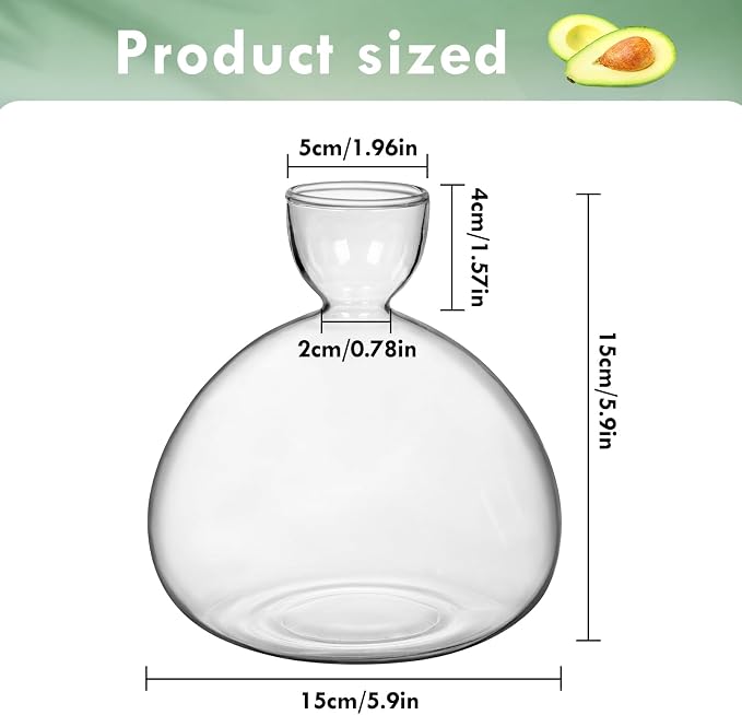 Large Avocado Grow Vase Glass Acorn Seed Starter Vase Planter for Growing | Premium Glass Avocado Growing Vases, Clear Avocado Pit Planter, Transparent Bulb Vase, Ideal for Gardening Indoor Hydroponics