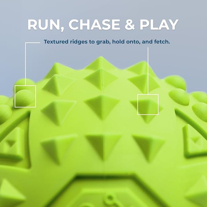 Best Pet Supplies Squeaky Dog Toys with Soft Durable Fabric for Small, Medium and Large Pets Interactive Toy for Indoor Play, Supports Active Biting and Play - Green, Large
