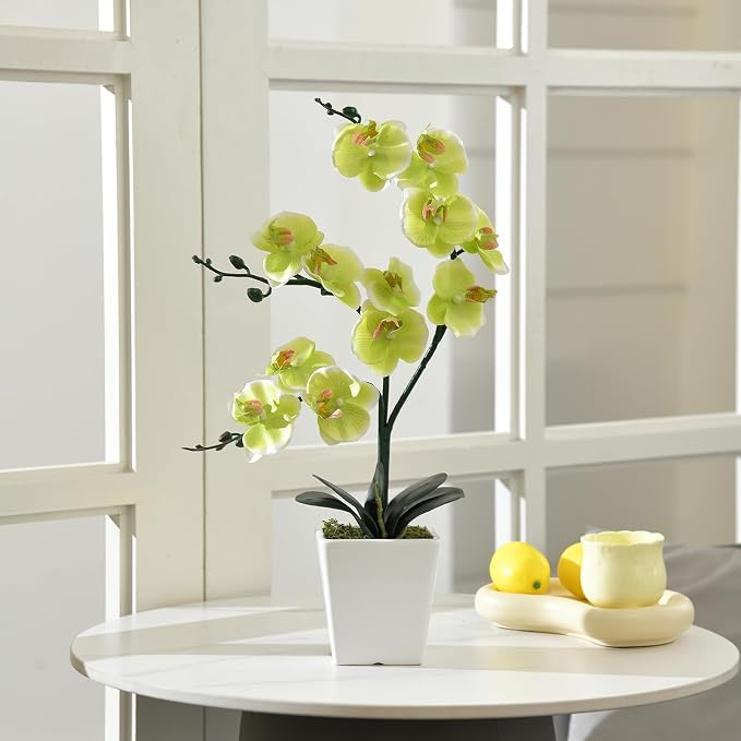 15" Silk Phalaenopsis Orchid in Square Pot, Apple Green Flower Arrangements | Lifelike Faux Potted Blooms with Moss in a Ceramic Planter. Looks Real, Zero Upkeep, Ideal Centerpiece for Any Table