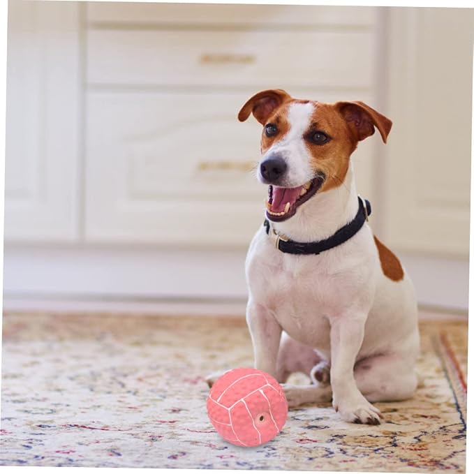 2Pcs Dog Latex Balls Squeaky Teething Toys for Dogs Elastic and Durable Fetch Balls Dog Toys for Interactive Play and Chewing