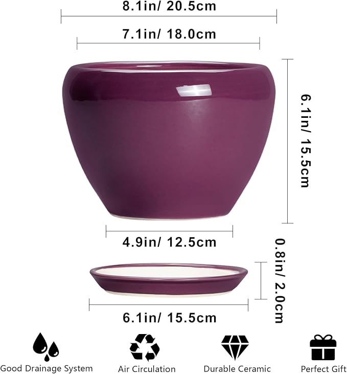 Ceramicfor Ceramic Planter - 8 Inch Plant Pot Indoor with Drainage Hole and Saucer, Glaze Decorative Planter, Round Flower Pot, Plant Lover Gifts, Home Garden Office Decor, Purple