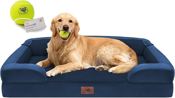 Waterproof Orthopedic Dog Bed for Extra Large Sized Dogs | Memory Foam Pet Bed Sofa with Bolster, Dog Couch with Washable Cover & Non-Slip Bottom, 42x30 Inch, Royal Blue