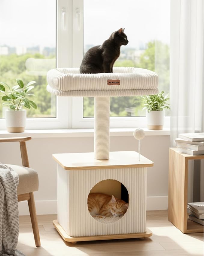 Small Cat Tree for Indoor Kittens, 30" Compact Modern Cat Tower | Natural Bamboo Cozy Condo, Soft Padded Perch, Sisal Scratching Post, Dangling Ball Toy, Stable Base, for Cats up to 15 lbs
