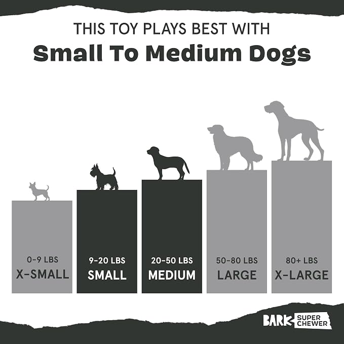 BarkBox Pine Cone Dog Toy