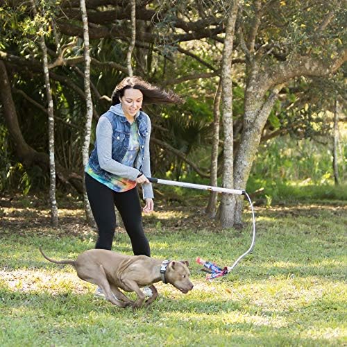 Squishy Face Studio Flirt Pole V2 with Lure - Durable Dog Toy for Fun Obedience Training & Exercise, Rainbow Tie Dye, Regular - 36 inch for All Breed Sizes