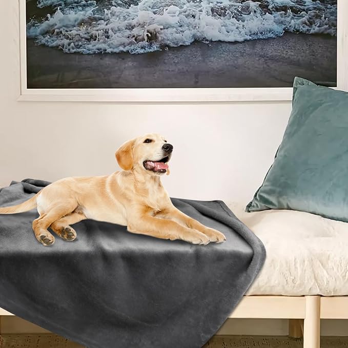 Onarway Dog Blanket Washable for Bed: 2 Packs Dog Blankets 59”x47” | Fluffy Soft Large Throw for Cat Puppy Kitten Dogs - Fleece Pet Blankets for Crate Couch Car and Indoor - Grey