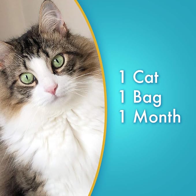 Ultra Pearls Cat Litter - 99.9% Dust Free, Low Tracking, Soft on Paws, Fragrance Free - 5 Lbs., (Pack of 2)