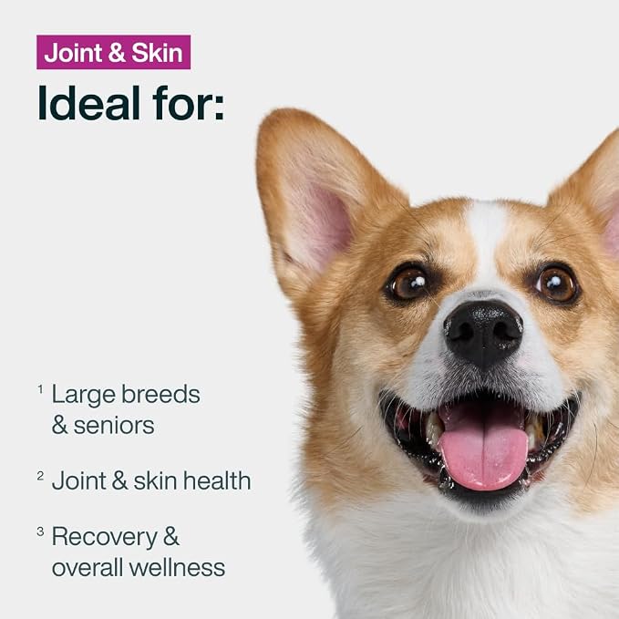 JustFoodForDogs Pantry Fresh Wet Dog Food, Complete Meal or Dog Food Topper, for Joint Health, Skin Health, Allergies, Joint & Skin Support, Pork & Quinoa - 12.5 oz (Pack of 12) | Fresh Pet Meal or Dog Food Topper for Dog Joint & Skin Health or Allergi...