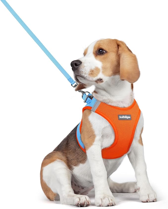 rabbitgoo Dog Harness Medium Sized and Leash Set, Step-in Puppy Pet Vest | Light, Soft, Breathable Air Mesh, Easy on and Remove with Hook & Loop, Secure Reflective for Walking, Blue & Orange L