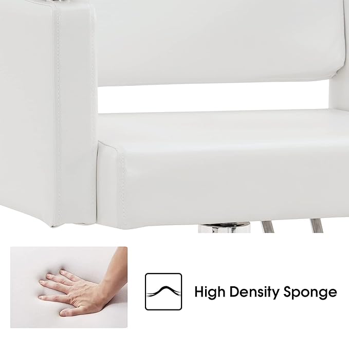 BarberPub Classic Hydraulic Barber Chair Styling Salon Chair for Hair Stylist Beauty Spa Equipment 8808 (White)