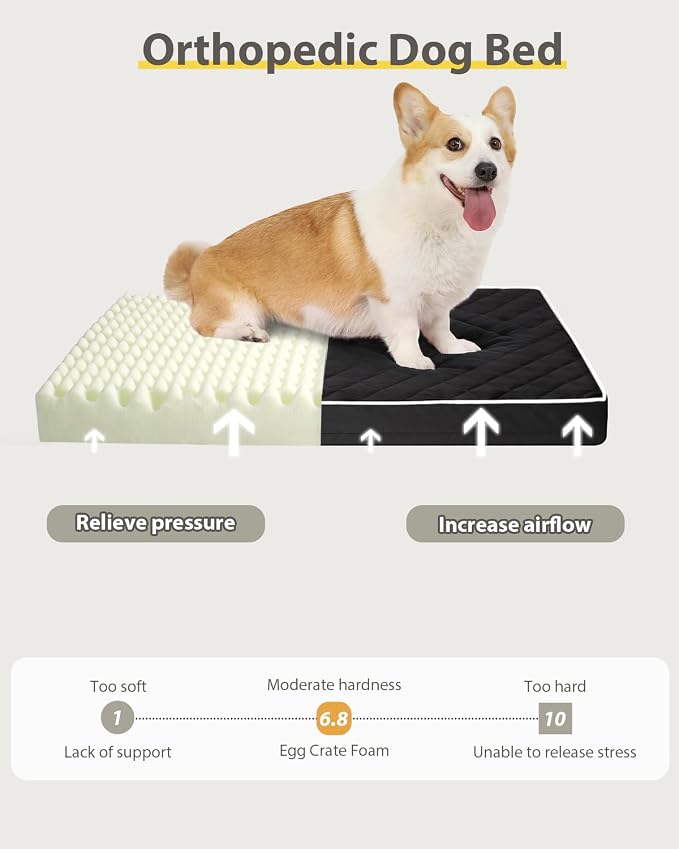 NUPIDA Orthopedic Large Dog Bed for Crate with Washable Cover, 35x22, Black | Egg-Crate Foam, Cozy Velvet Pet Mattress, TPU Waterproof Layer, Flat Kennel Pad, Comfy Support, Non-Slip Bottom