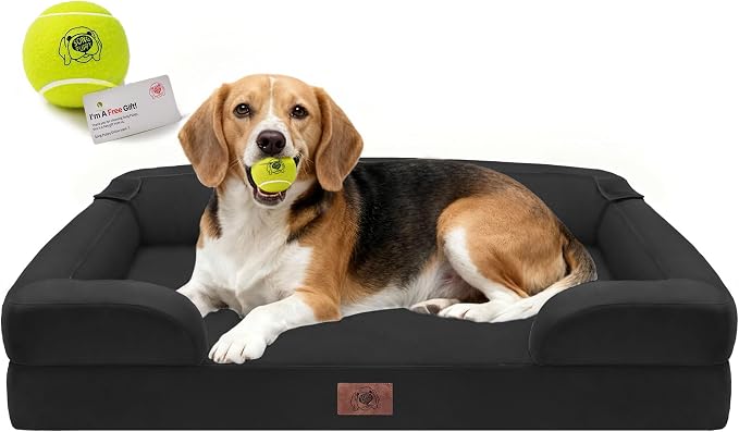 Waterproof Orthopedic Dog Bed for Medium Large Sized Dogs | Memory Foam Pet Bed Sofa with Bolster, Dog Couch with Washable Cover & Non-Slip Bottom, 36x27 Inch, Black