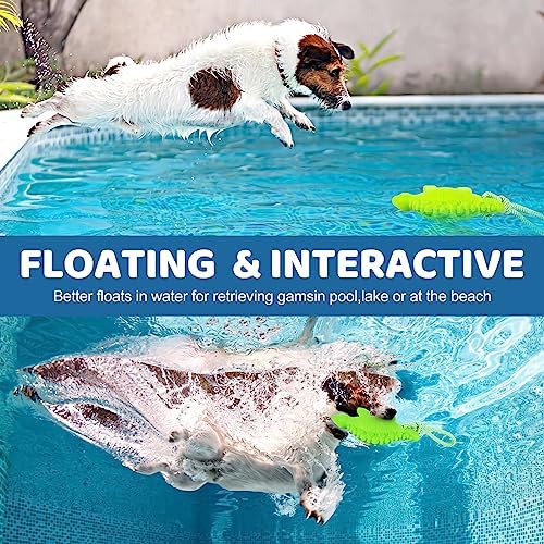 Dog Floating Toy, Dog Chew Toy for Aggressive Chewers, Pool Toy with Rope for Interactive Fetch & Play, Dog Beach Toy Set (Dinosaur)