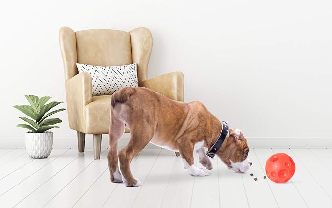 Omega Paw Authentic Tricky Treat Ball Small 2.5" Size