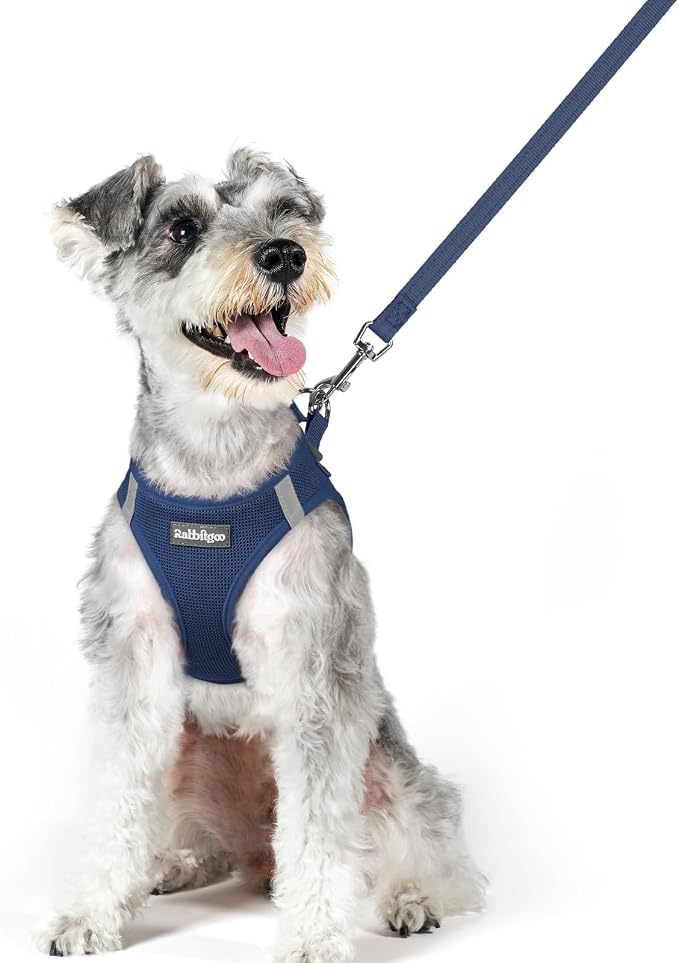 rabbitgoo Dog Harness Medium Sized and Leash Set, Step-in Puppy Pet Vest | Light, Soft, Breathable Air Mesh, Easy on and Remove with Hook & Loop, Secure Reflective for Walking, Navy Blue XL