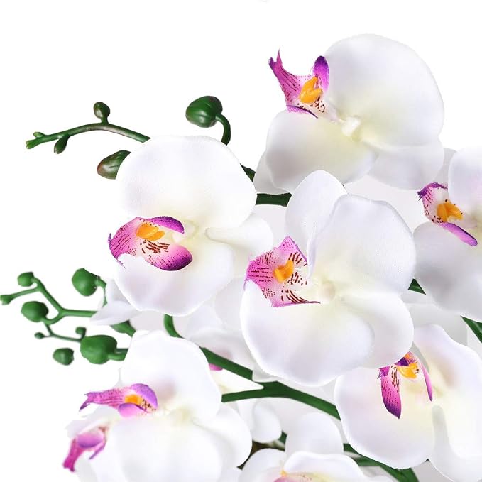 15" Silk Phalaenopsis Orchid in Square Pot, White Flower Plant Arrangements | Lifelike Faux Potted Blooms with Moss in a Ceramic Planter. Looks Real, Zero Upkeep, Ideal Centerpiece for Any Table