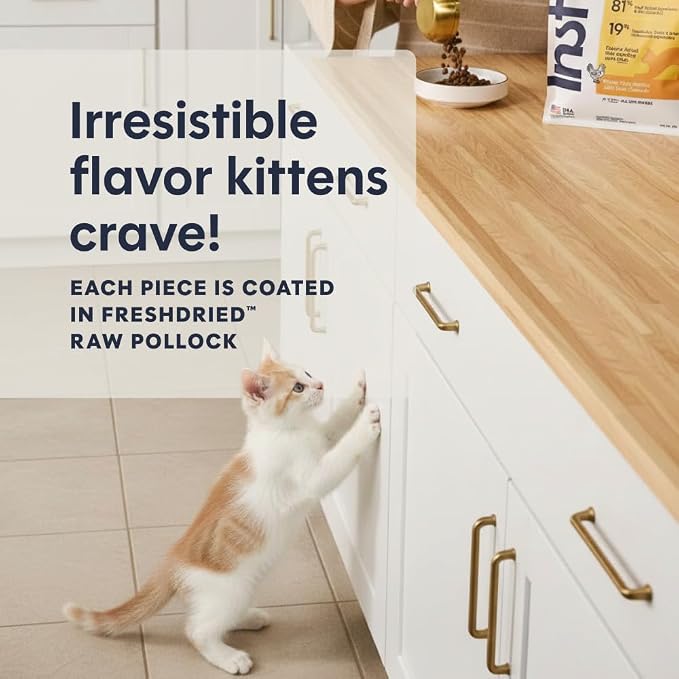 Instinct Original Kitten Dry Food, Raw Coated, Real Chicken, 4.5 lb. Bag | Raw-coated kibble with cage-free chicken, high animal protein, DHA, probiotics, and omegas to support growing kittens