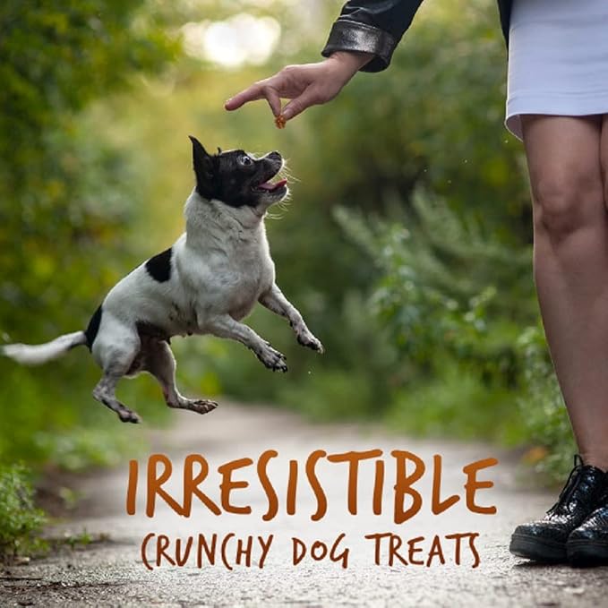 Fruitables Baked Dog Treats, Healthy Pumpkin Treat for Dogs, Low Calorie & Delicious, Free of Wheat, Corn and Soy, Made in the USA, Sweet Potato and Pecan Flavor, 7oz (Pack of 2)