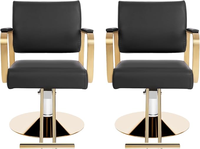 Salon Chair for Hair Stylist, Hydraulic Barber Chair with 360° Swivel, Height Adjustable Styling Chair for Barbershop, Beauty Salon, Tattoo & Spa Equipment, Black and Golden, 2Pcs
