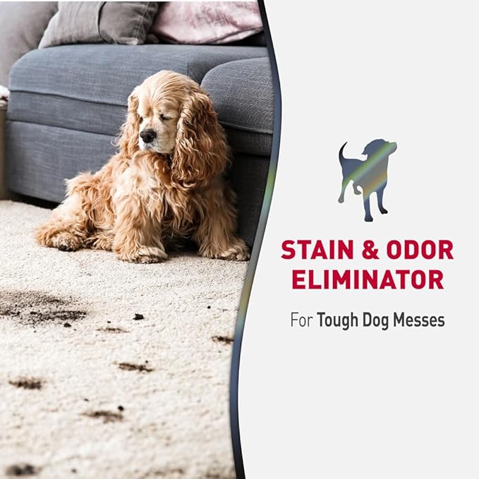 Nature's Miracle Advanced Dog Stain & Odor Eliminator, Severe Mess, 1 gal | Enzymatic Cleaner Eliminates the Toughest Dog Messes, For Use on Multiple Surfaces, Safe For Pets and Home*, Lemon Scent