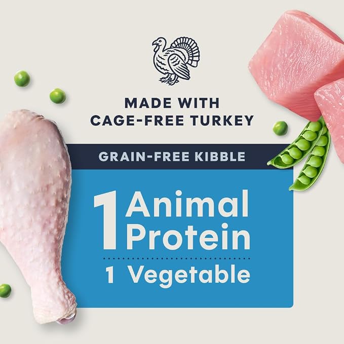 Instinct Limited Ingredient Diet Dry Cat Food, Real Turkey, 11 lb. Bag | Single animal protein and vegetable recipe, raw-coated kibble, cage-free turkey, gentle on sensitive stomachs