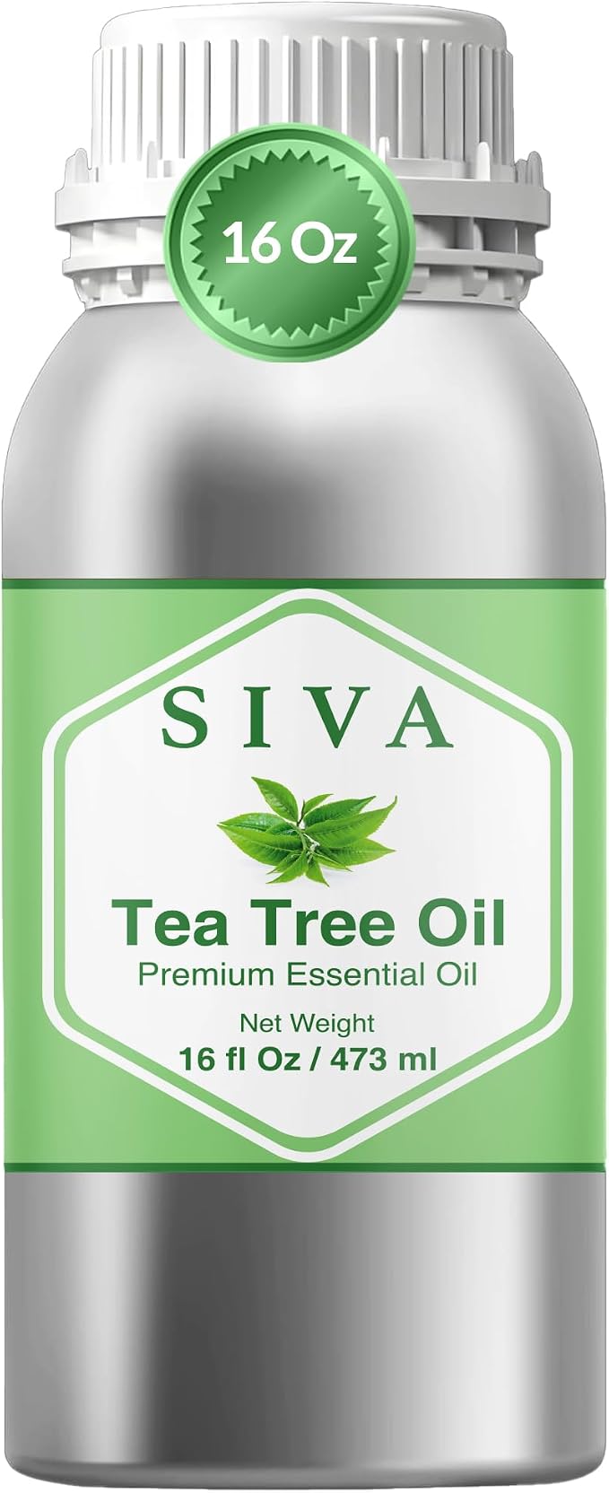 Siva Tea Tree Essential Oil 16 Fl Oz – for Diffuser, Skin & Hair Care – Ideal for Massage & DIY Blends