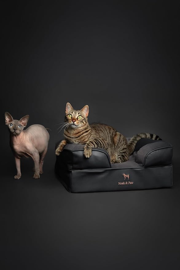 NOAH & PAW Small Dog Bed, 20x15x8 Inch, Cat Bed for Indoor Cats, Orthopedic Eggshell Memory Foam Infused with Cooling Gel, Water Resistant Inner Cover Machine Washable (Faux Leather)