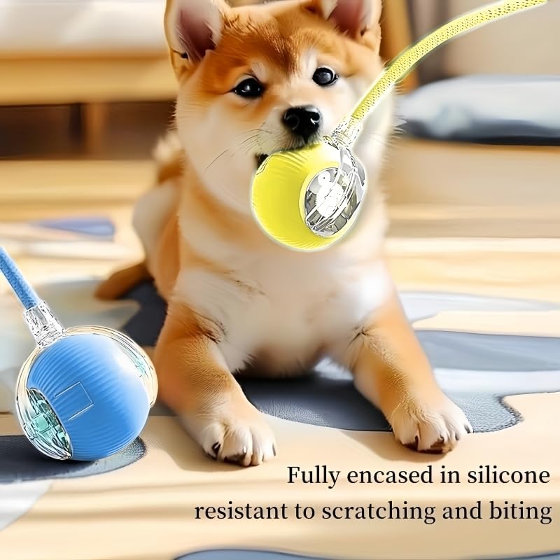 Nicoybore pet electric toy ball, USB charging intelligent automatic, provides entertainment for cats and dogs, the glowing ball attracts pets, stimulates chasing and hunting games (2, blue+yellow)