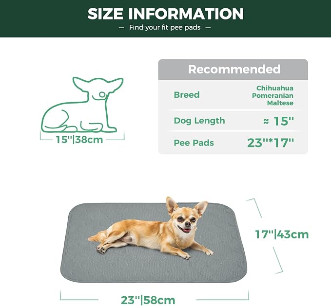 FXW Washable Pee Pads for Dogs, Super Absorbent, 17" x 23", 2 Packs | Machine washable, Non-slip backing
