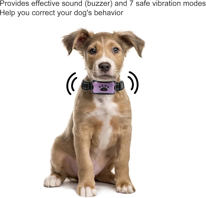 ASHATA Anti Dog Bark Collar, Dog Barking Collar, USB Rechargeable Vibration Intelligent Recognition Training Collar 7 Sensitivity Levels Purple